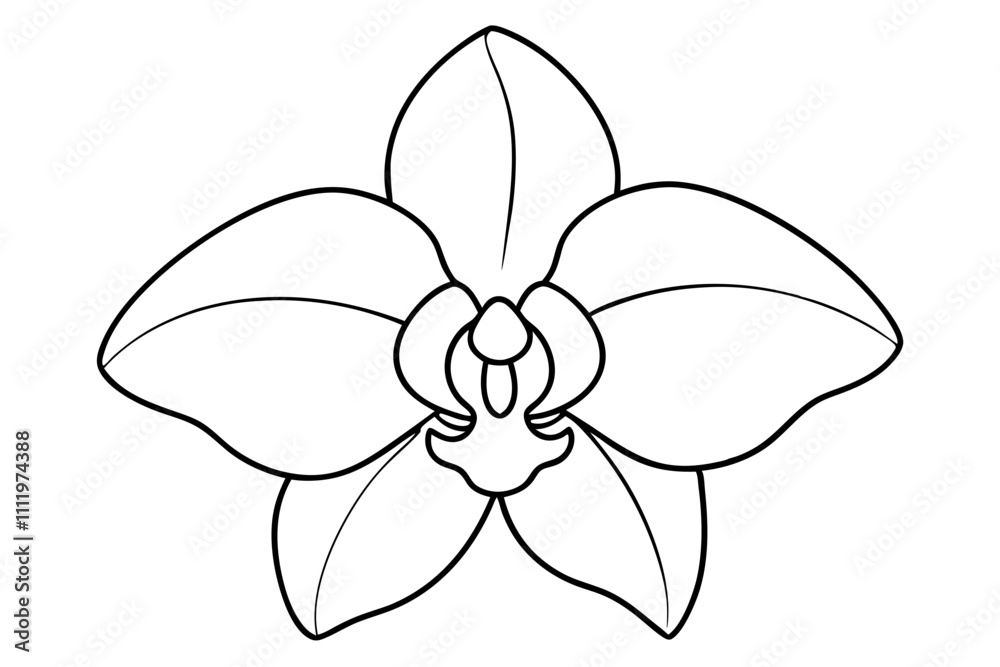 A simple Evening Orchid line art vector white background A simple Evening Orchid line art vector white background