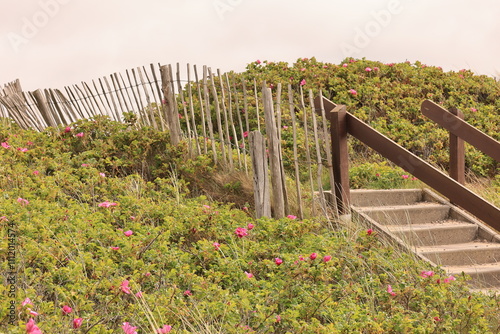 Blick auf die Küstenlandschaft bei Rantum auf der Nordfriesischen Insel Sylt	 photo