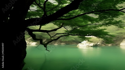 Serene Lake Scene Overhung by Lush Green Tree Branches photo