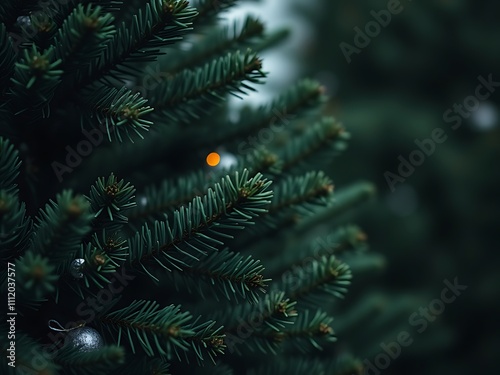 Christmas Eve at the Tree Farm: Close-Up of a Festive Fir AI Generated