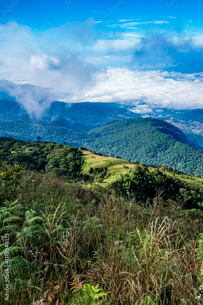 Fototapeta premium Breathtaking mountain view overlooking lush green valleys cloudy sky landscape photography high altitude nature's beauty