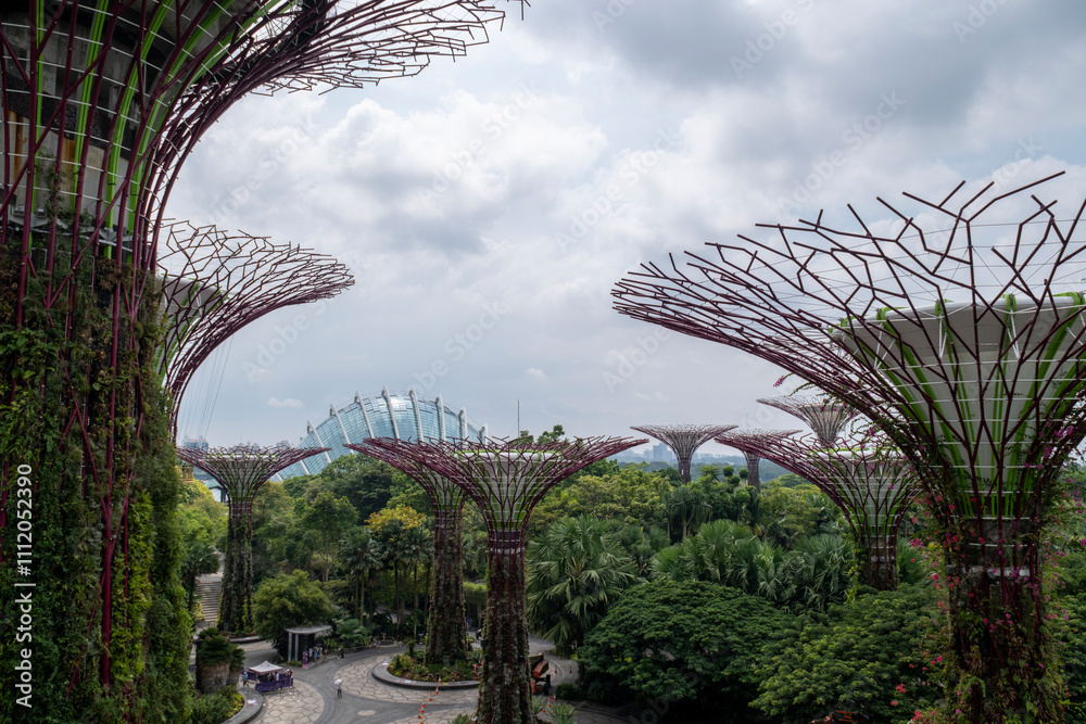 Fototapeta premium Supertree Grove at Gardens by the Bay, Singapore, where towering vertical gardens blend nature and technology in a dazzling display.