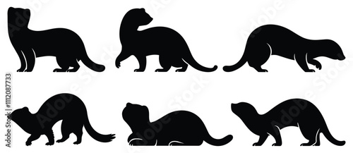 Silhouettes of Ferrets in Various Poses Vector Illustration