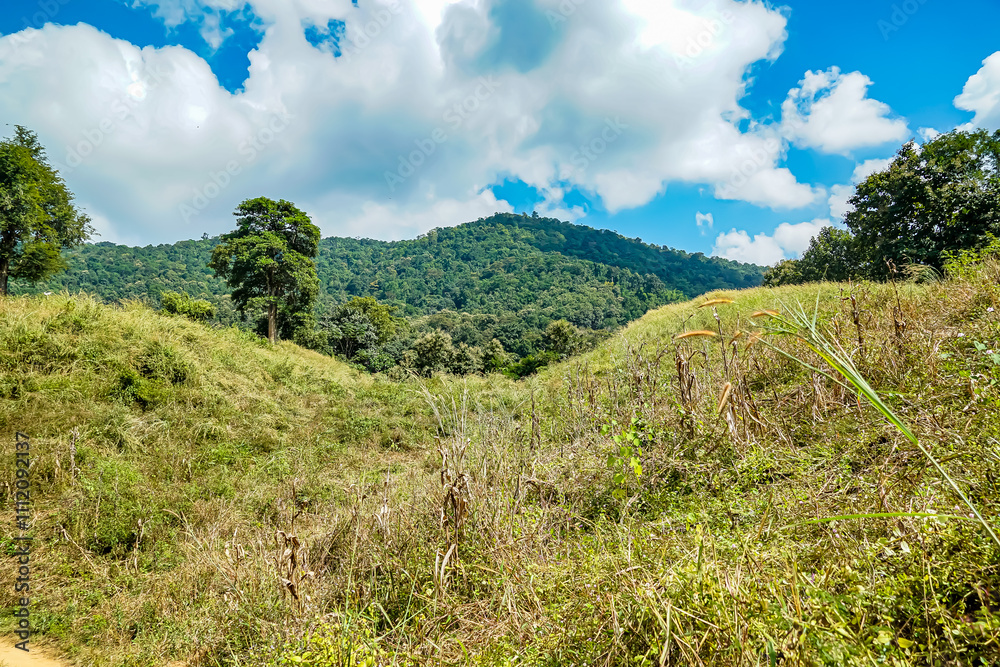 Nature landscape photography in mountainous region lush green hills with blue sky captivating viewpoint for outdoor enthusiasts Nature landscape photography in mountainous region lush green hills with blue sky captivating viewpoint for outdoor enthusiasts