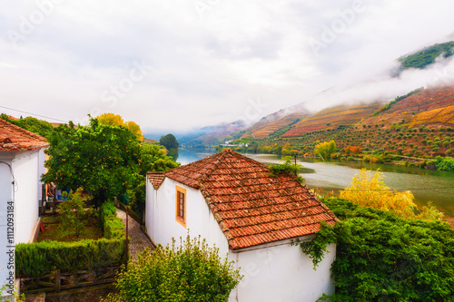 Obraz na płótnie Autumn landscape of Douro river valley, Portugal. w salonie