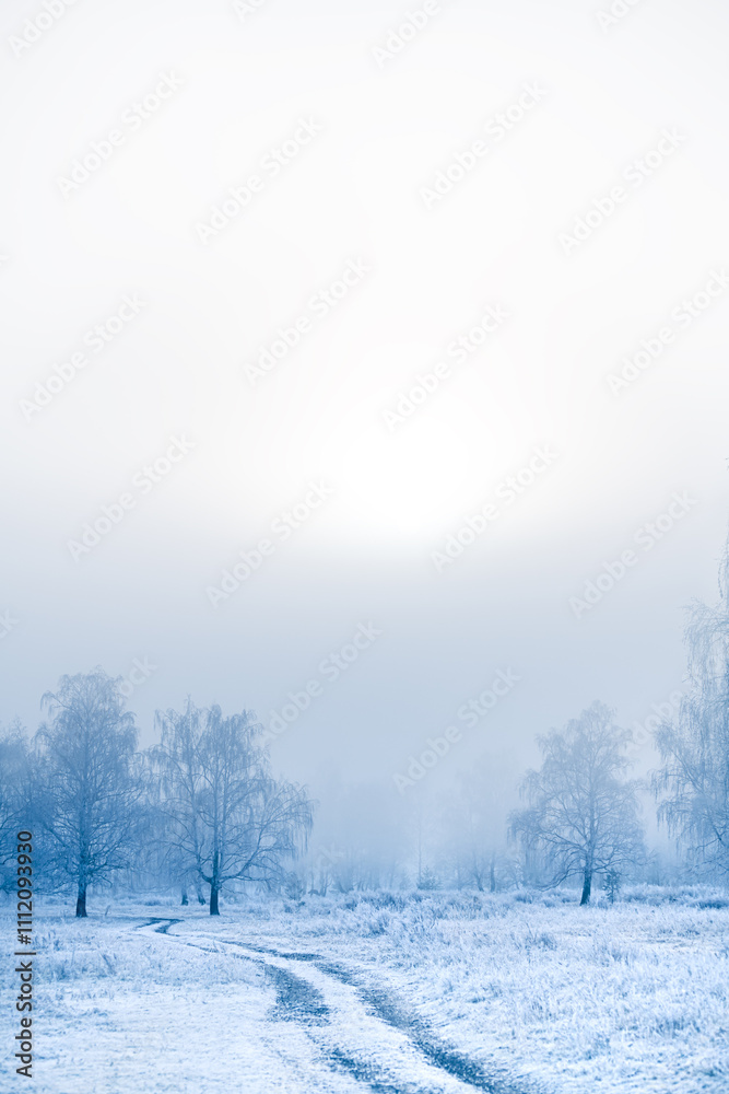 Frost-covered trees and grass in winter forest at foggy sunrise