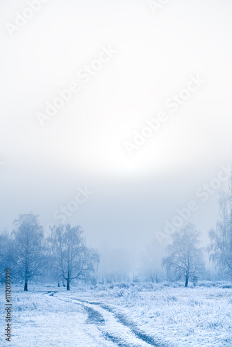 Frost-covered trees and grass in winter forest at foggy sunrise
