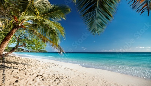 Beautiful tropical beach with palm trees  sunset beach seascape  design template for travel banner.