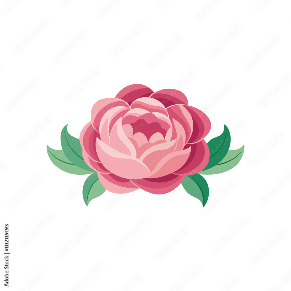 Peony flower isolated flat vector illustration on white background. Peony flower isolated flat vector illustration on white background.