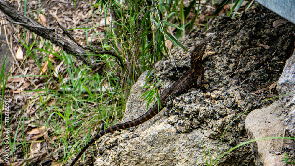 A camouflaged snake perfectly blends into its natural habitat, showcasing natures artistry A camouflaged snake perfectly blends into its natural habitat, showcasing natures artistry