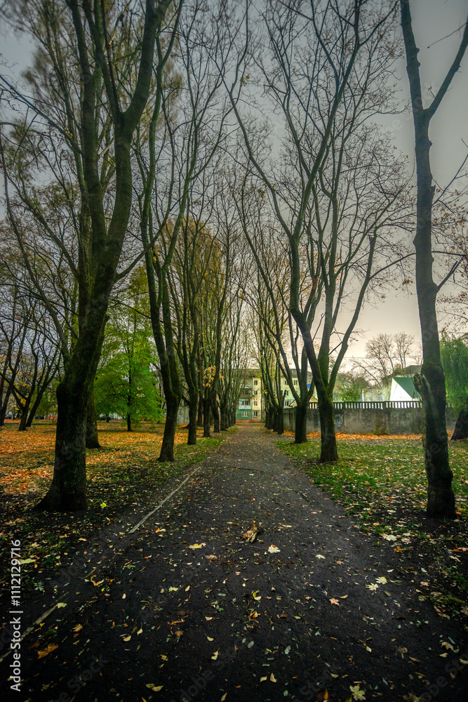 Night in the park and city lights on the picture,leaves on the asphalt.Park at night autumn time.Beautiful landscape with buildings in the park ,trees in the park .Beautiful and handsome park Night in the park and city lights on the picture,leaves on the asphalt.Park at night autumn time.Beautiful landscape with buildings in the park ,trees in the park .Beautiful and handsome park