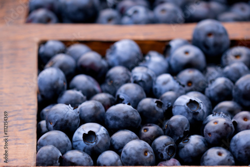 Wallpaper Mural A wooden box filled with blueberries. Blueberry tree in a box with berries. Berry blueberry tree box close up. Close up of a blueberry lifestyle box. Torontodigital.ca