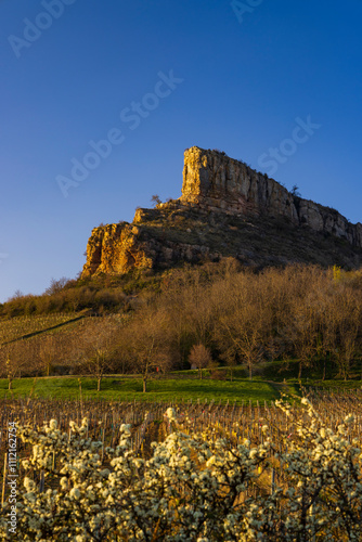 Rock of Solutre with vineyards, Burgundy, Solutre-Pouilly, France photo