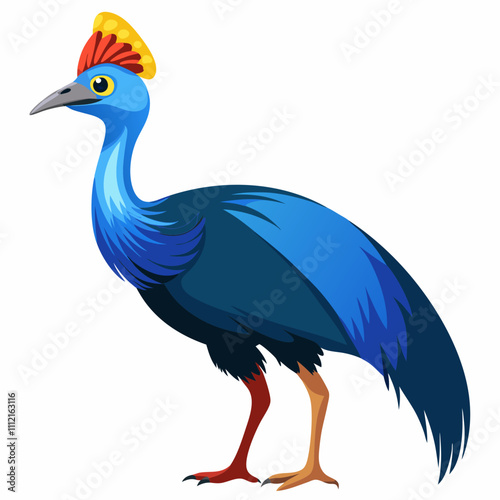 Cassowary Vector Art on White Background photo