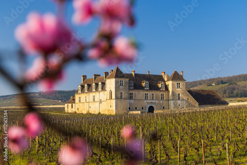 Clos de Vougeot castle, Cote de Nuits, Burgundy, France
