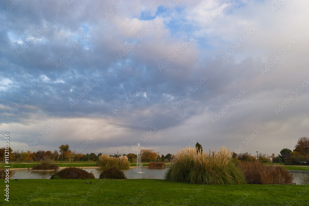 landscape, view, park, plants, nature, morning, autumn, spain, f landscape, view, park, plants, nature, morning, autumn, spain, f