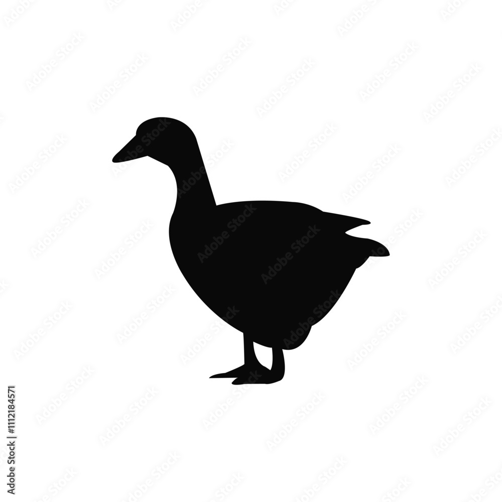 Black duck on white background. Silhouette of a duck. Animals silhouette Black duck on white background. Silhouette of a duck. Animals silhouette