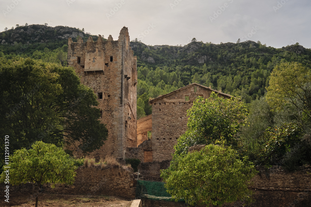 Obraz premium an ancient castle on the background of a forest