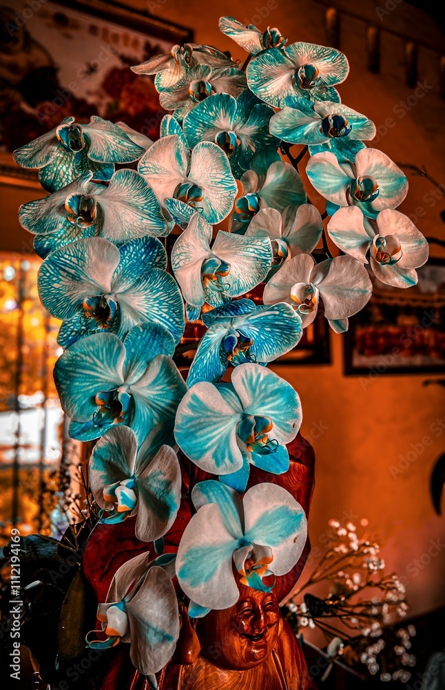 Naklejka premium Blue orchids close-up