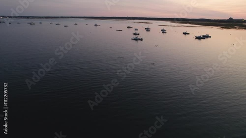 Aerial Flight with Seagulls Above Nautical Waters at Dusk