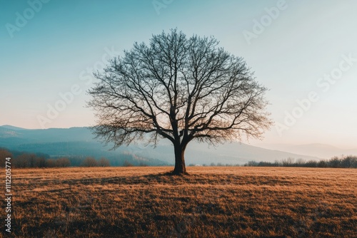 A solitary tree captures the beauty of a sunset in an open field, surrounded by gentle hills and a colorful sky. Perfect for reflection. Generative AI