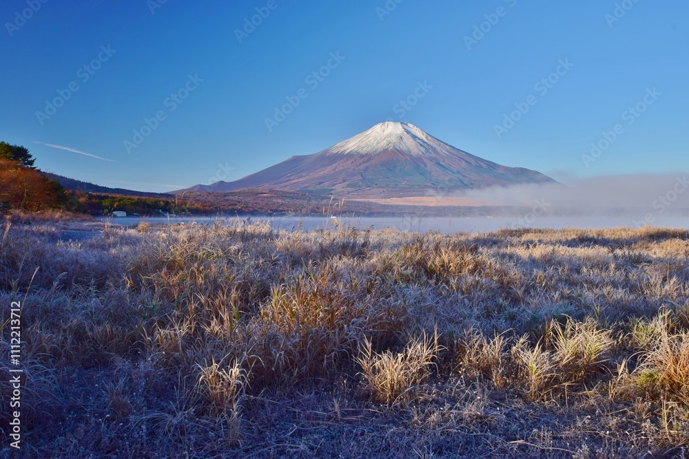 Fototapeta premium 初冬の山中湖・富士山