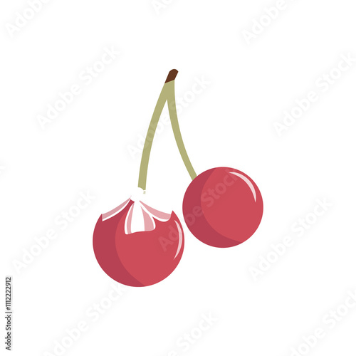   bow on cherry branch  vector illustration