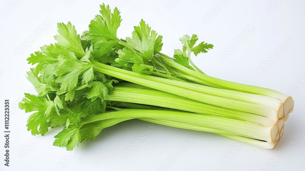 Celery isolated on white background Celery isolated on white background