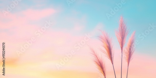 Wallpaper Mural Soft pastel sky with delicate grass silhouettes at sunset, evoking calm and tranquility. Torontodigital.ca