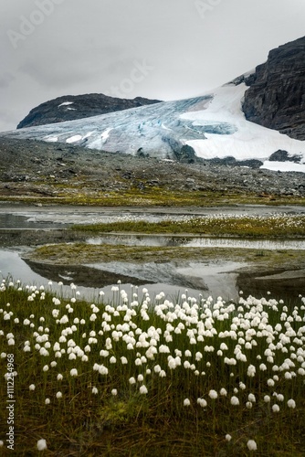 Glacier in the summer