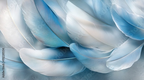 Soft Blue and White Bird Feathers Close Up