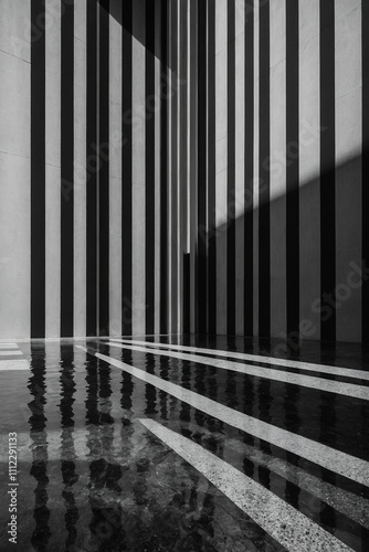 monochrome design featuring vertical stripes in various shades