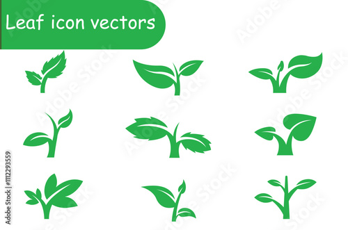 Leaf icon vector design 