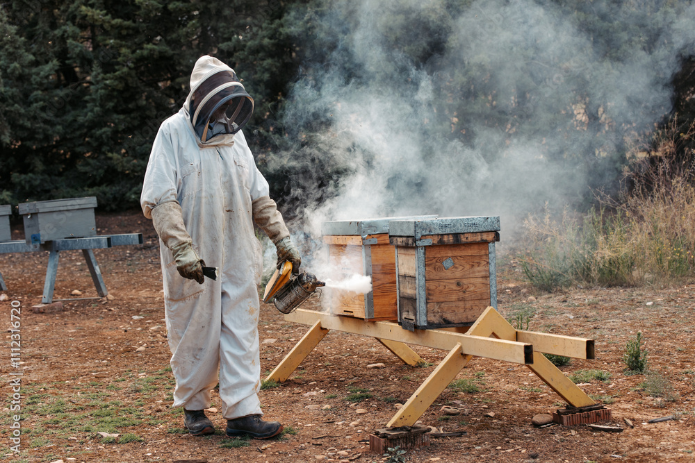 Beekeeper applying smoke to hive in rural apiary.