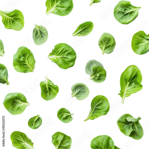 Fresh green lettuce leaves scattered on a white background