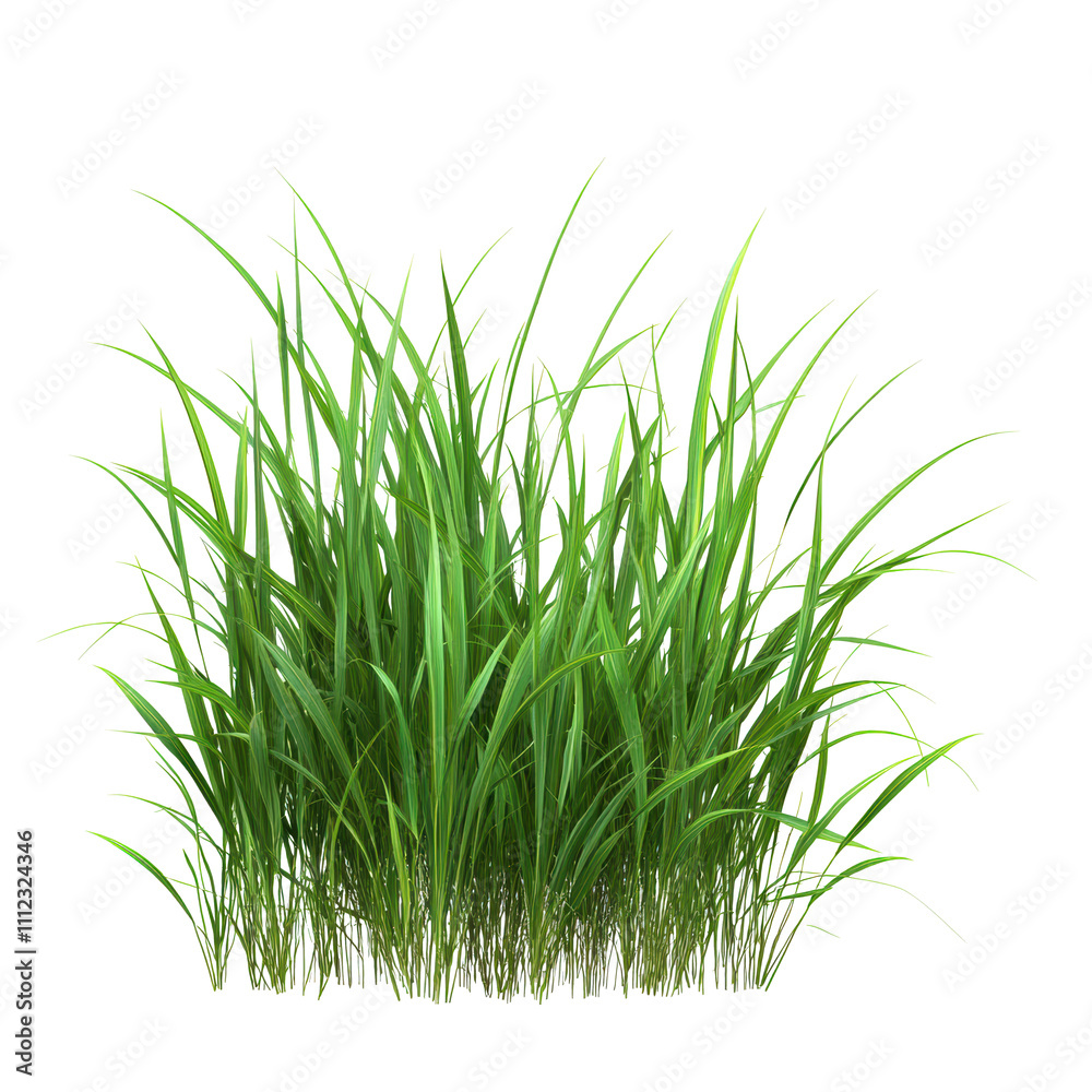 Obraz premium Lush green grass thriving in sunlight during a summer afternoon