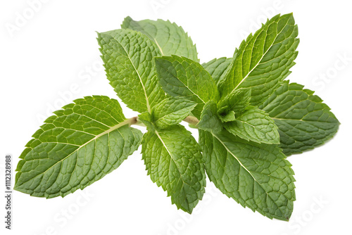 Mint leaves isolated on transparent background.AI GENERATED