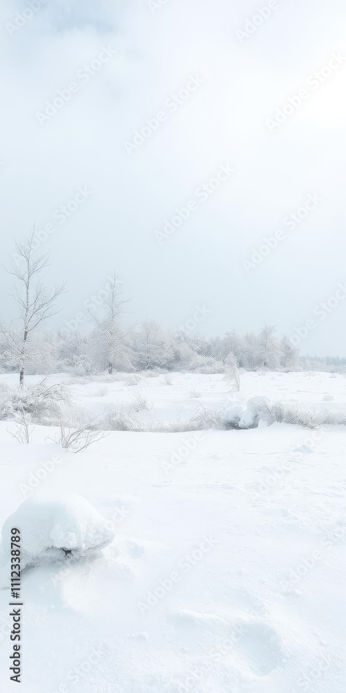 A serene winter landscape with fresh snow covering a vast expanse, creating a peaceful and magical scene, season, chilly A serene winter landscape with fresh snow covering a vast expanse, creating a peaceful and magical scene, season, chilly