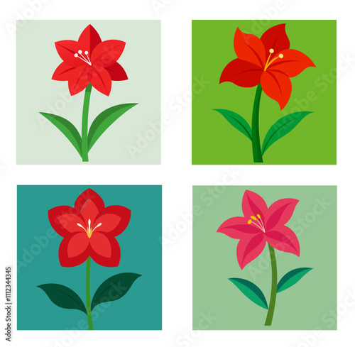 amaryllis flower vector illustration
