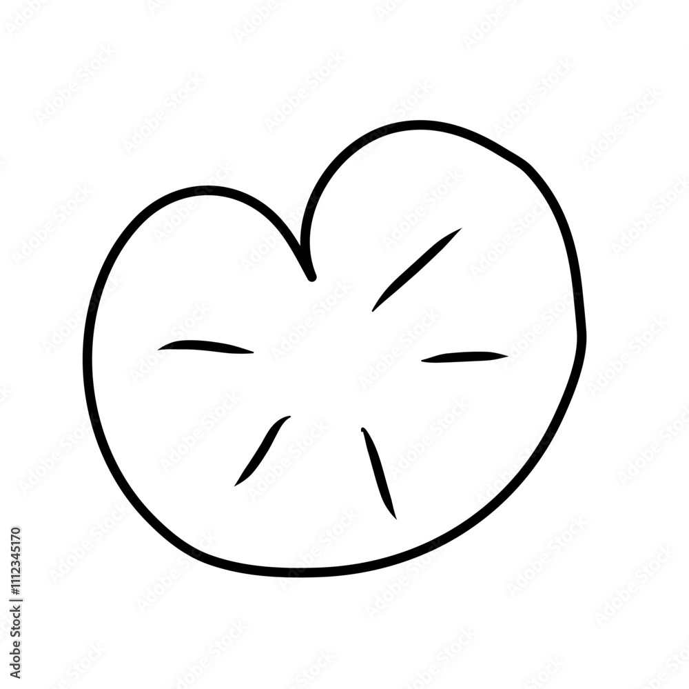 water lily leaf water lily leaf