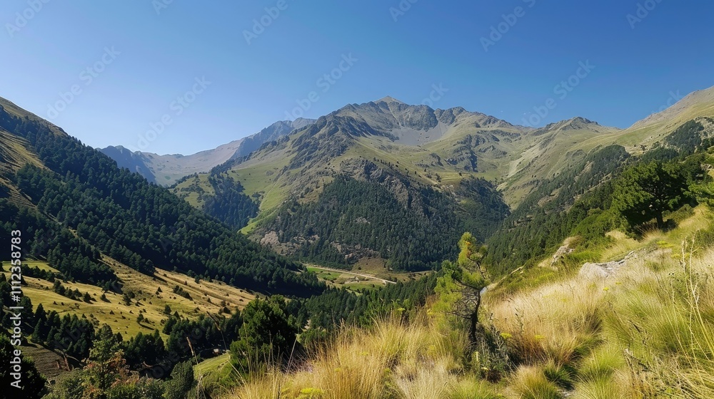 Naklejka premium Panoramic View of a Mountain Valley