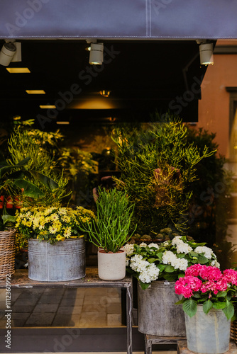 blooming storefront allure