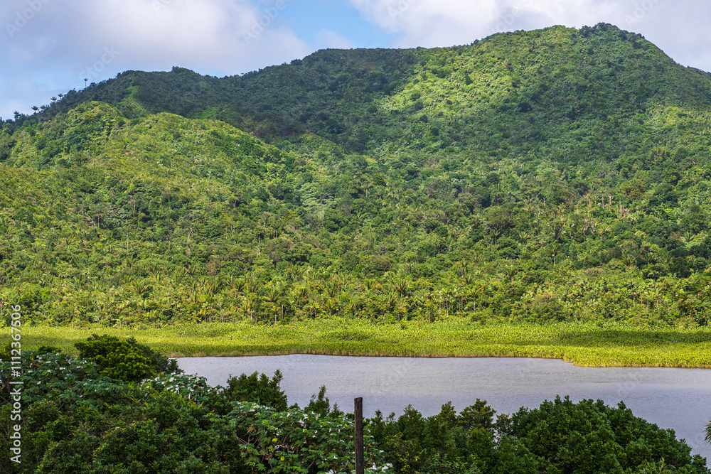 Fototapeta premium Verdant Hills and Tranquil Lake in Saint George's, Grenada
