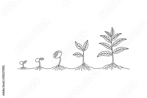 Eco friendly, plant growth journey agriculture  of life cycle single line art design  Illustration"