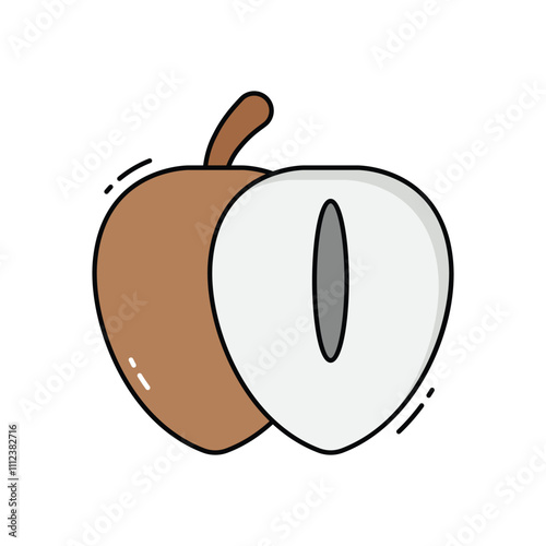 Chikoo vector icon