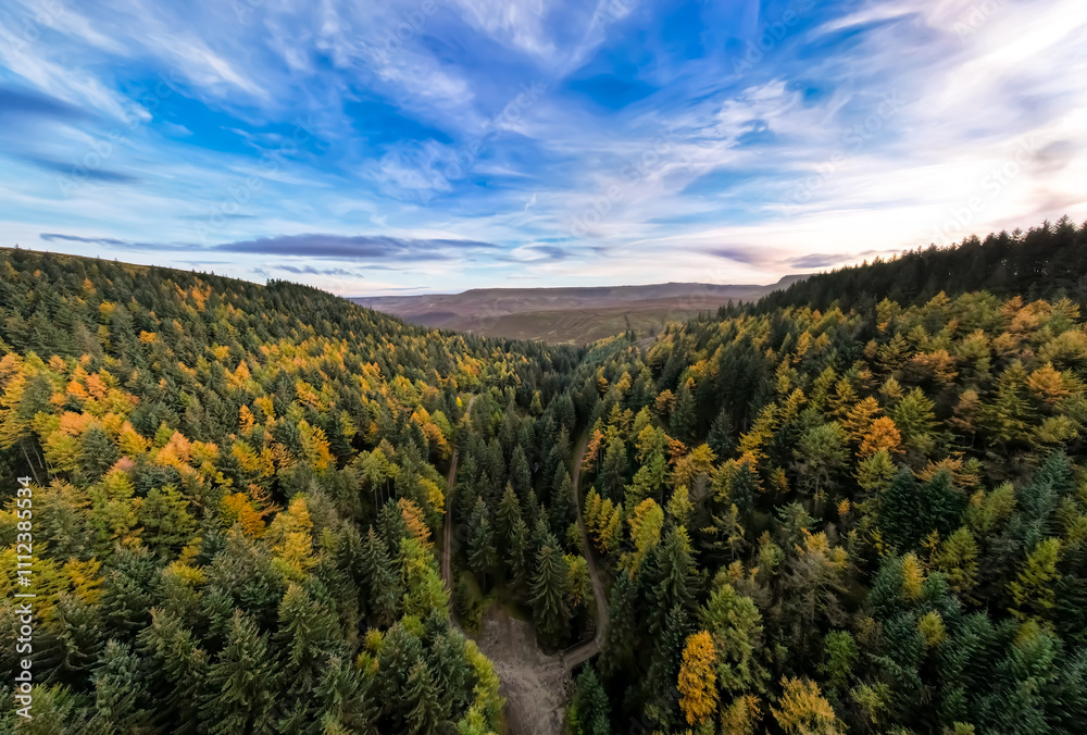autumn forest in the mountains, autumn fall, snake woodlands, drone photography, panorama autumn forest in the mountains, autumn fall, snake woodlands, drone photography, panorama