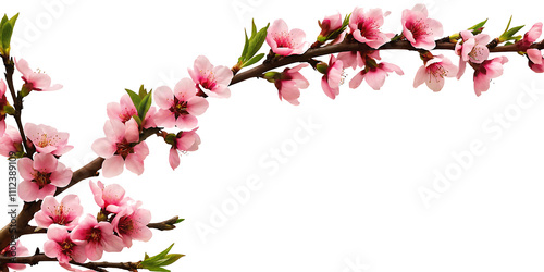 Peach tree branch adorned with pink flowers along the corner border, set on a white background.AI GENERATED photo