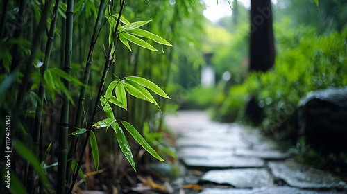 A path with a row of bamboo plants on either side