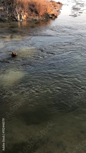 water flow in fish ponds