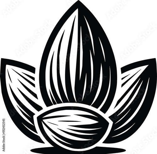 Black and White Illustration of an Almond